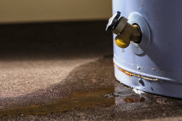 Best Professional water damage repair  in North Eagle Butte, SD