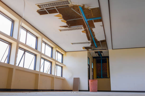 Best Carpet water damage restoration  in North Eagle Butte, SD