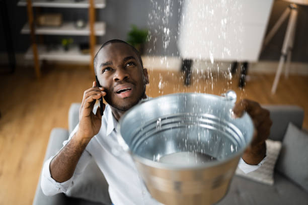 Best Water damage restoration company  in North Eagle Butte, SD