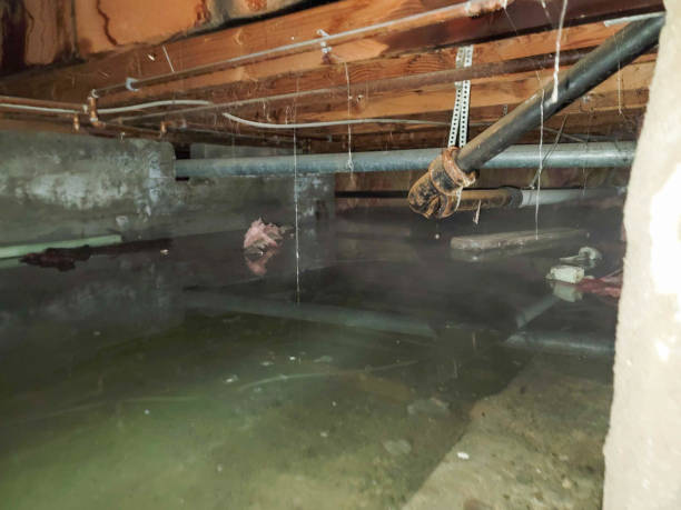 Best Water damage restoration near me  in North Eagle Butte, SD