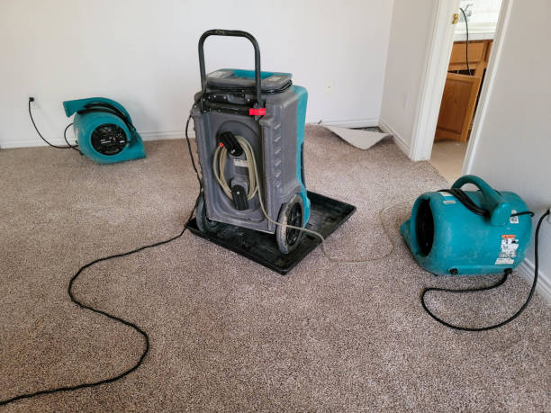 Best Basement water damage restoration  in North Eagle Butte, SD