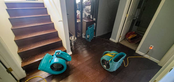 Best Water damage restoration near me  in North Eagle Butte, SD
