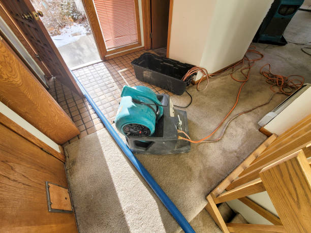 Best Ceiling water damage repair  in North Eagle Butte, SD