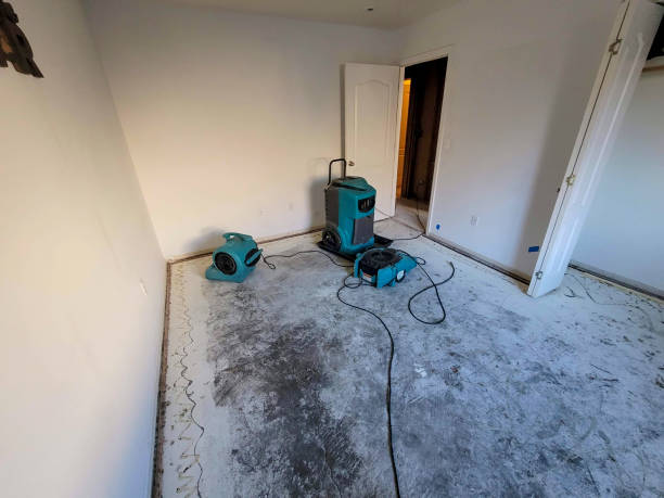 Best Residential water damage restoration  in North Eagle Butte, SD