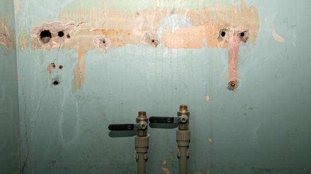 Best Local water damage restoration  in North Eagle Butte, SD