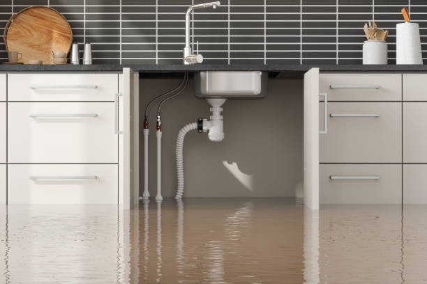 Best Flooded house restoration  in North Eagle Butte, SD