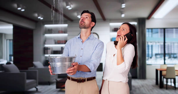 Best Water damage contractors near me  in North Eagle Butte, SD